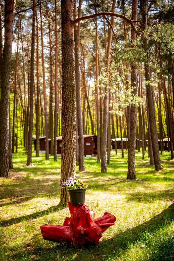 Aura Grotniki Hotel Grotniki  Luaran gambar